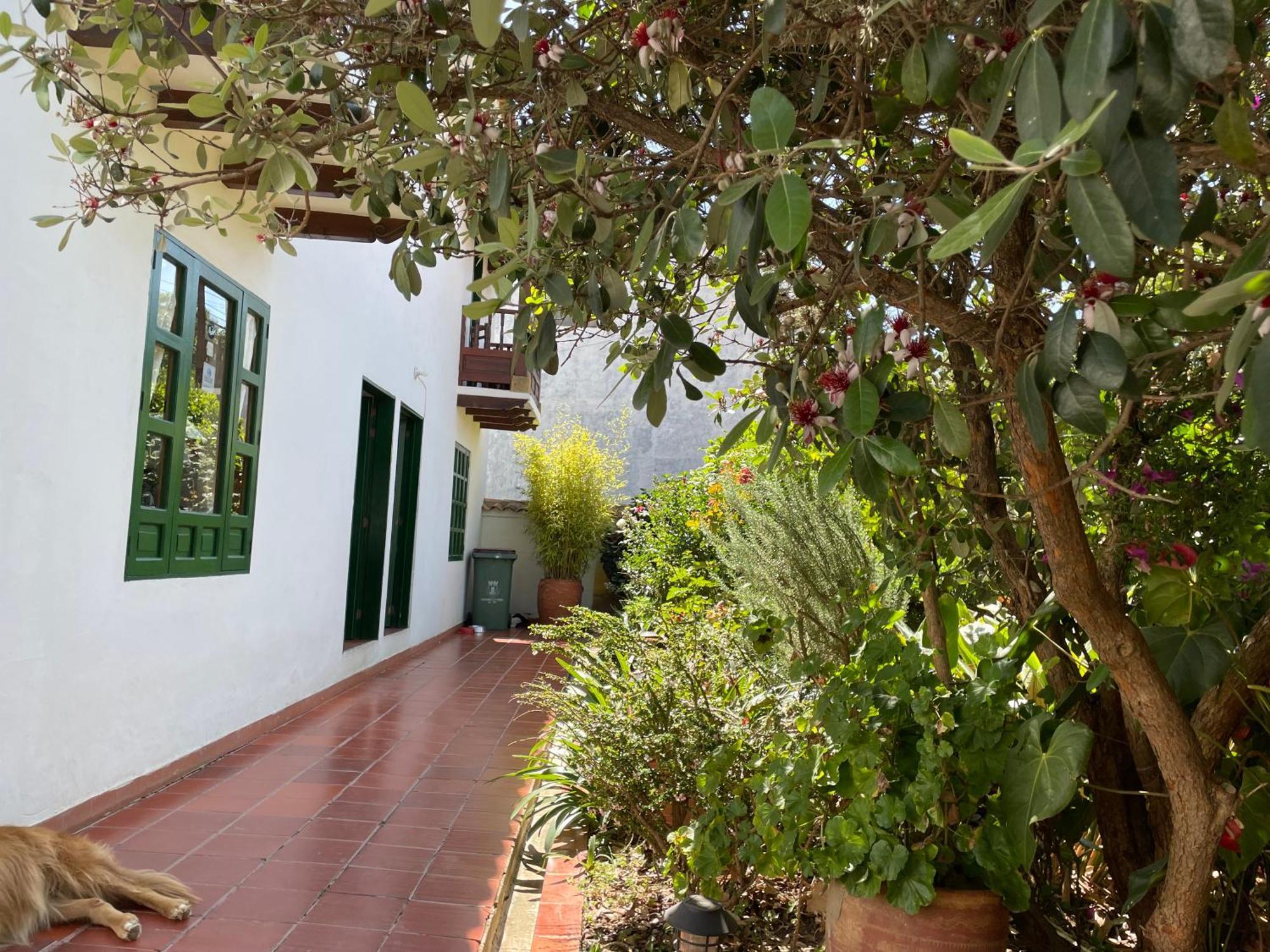 Hostal El Pino Villa de Leyva Exterior foto